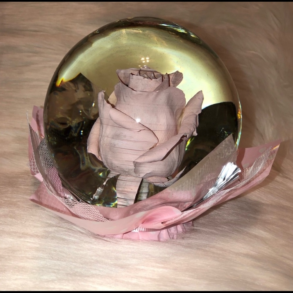 Real Rose Globe 🤍